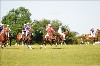 UKPA NC SAT_2179